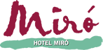 Hotel Juan Miro
